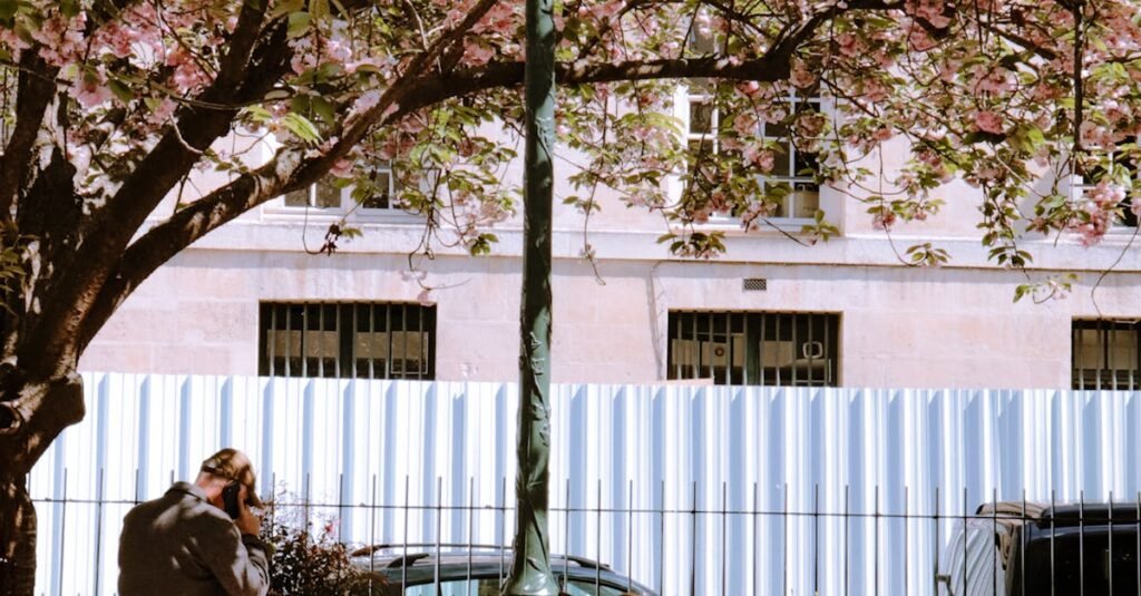 Couple enjoys a spring day under cherry blossoms in a Parisian park.
