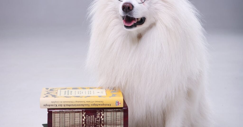 Adorable fluffy dog wearing glasses and sitting next to a stack of books in a studio setting.